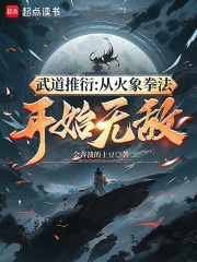 武道推衍：从火象拳法开始无敌