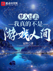 梦入过去：我真的不是游戏人间