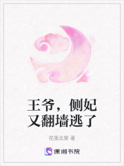 王爷，侧妃又翻墙逃了