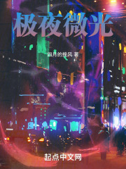 极夜微光